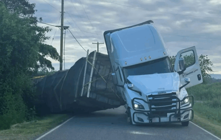 У США перекинулась вантажівка з вуликами: "втекли" близько 250 млн бджіл (Фото)