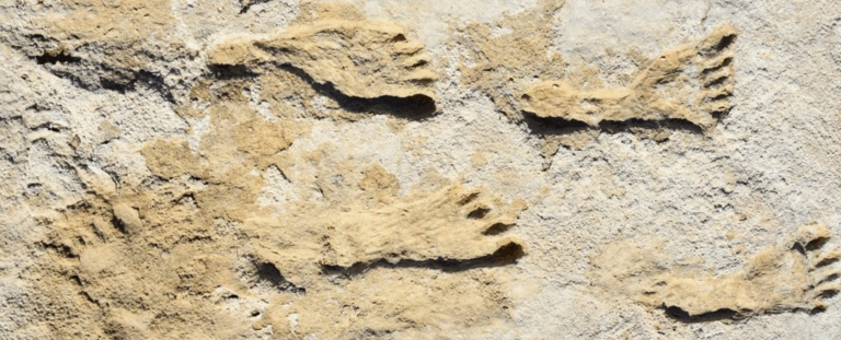 У США знайшли сліди людей віком понад 20 000 років: це змінює історію заселення Америки