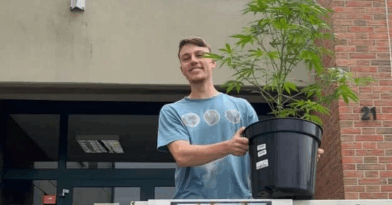 Нова реальність: у Німеччині поліція повернула студентові поцуплений у нього кущ коноплі