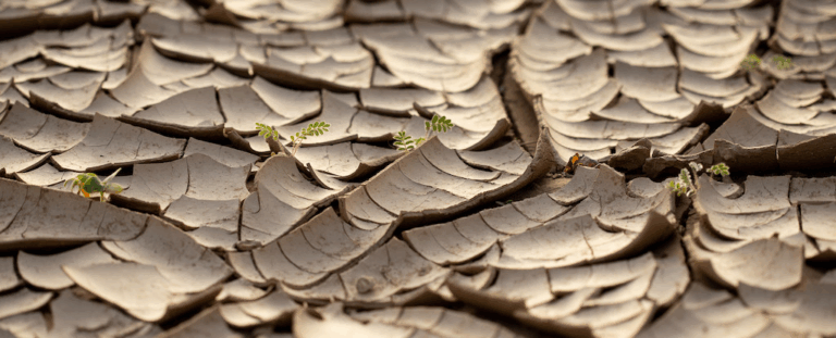 Через зміну клімату Південна Африка піднімається на 2 міліметри щороку — дослідження