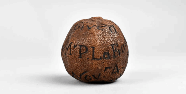 На аукціоні продали 285-річний лимон