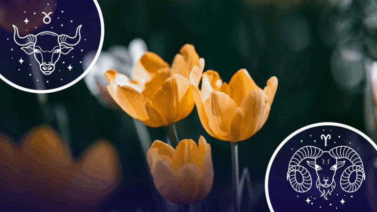 Гороскоп на 1 червня 2025 року для всіх знаків Зодіаку