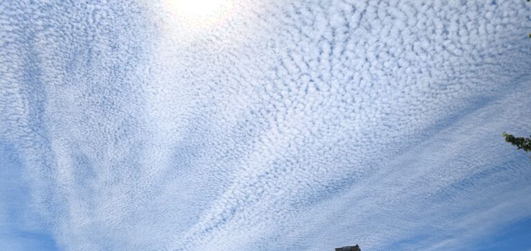 У небі над Києвом побачили хмари, схожі на риб’ячу луску (Фото)