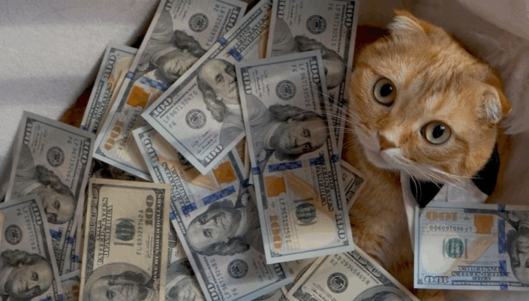 Масштабна помилка: тисячі норвежців "розбагатіли" через збій у лотереї