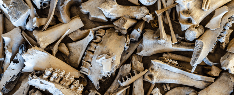 У Німеччині знайшли «фабрику жиру» неандертальців віком 125 тисяч років