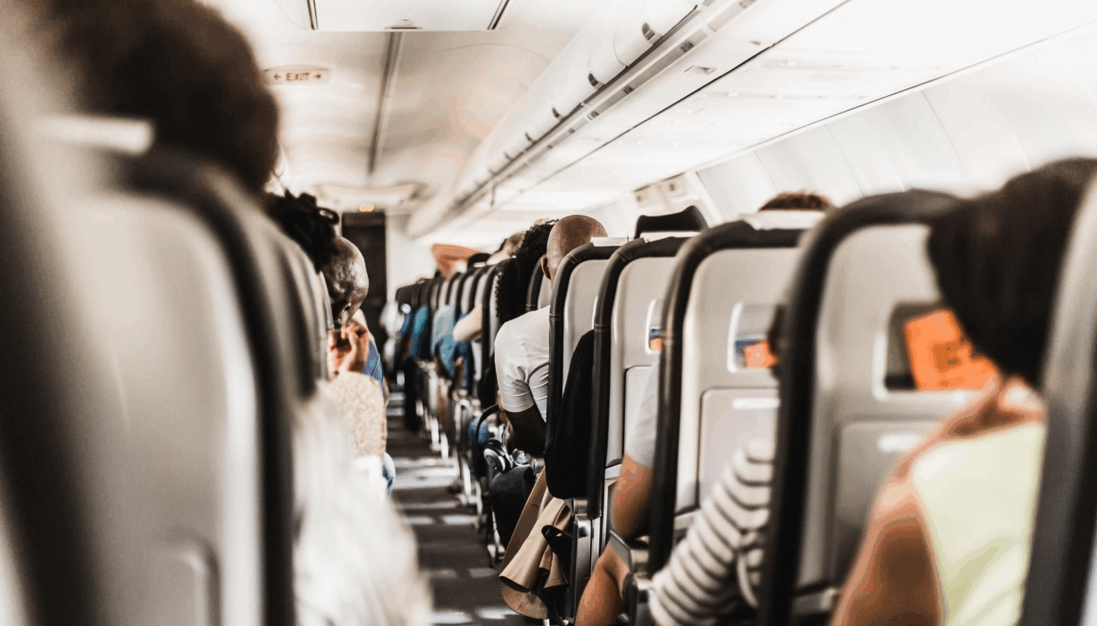 Півень на верхній полиці: мандрівники пригадали, що найдивнішого бачили в літаках