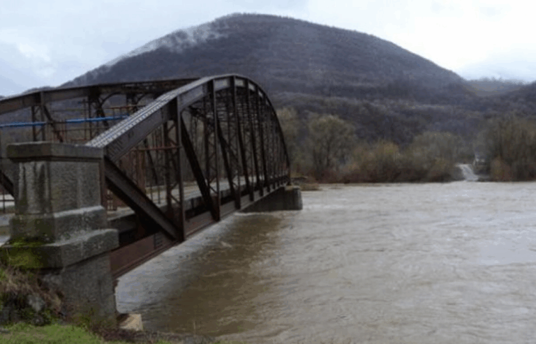 Хотіли переплести Тису на автомобільних камерах: у ДПСУ виявили групу порушників