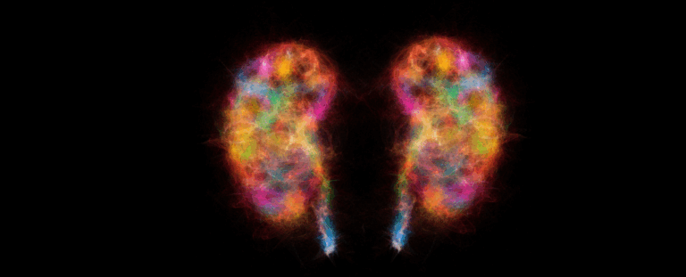 Хвороба Паркінсона може починатися в нирках — нове наукове відкриття