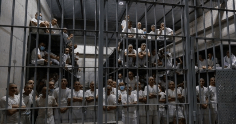 Втеча з в'язниці під Ліоном: ув'язнений втік у сумці