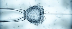 У Британії народилися 8 дітей завдяки інноваційній IVF-технології: знижено ризик спадкових мітохондріальних хвороб