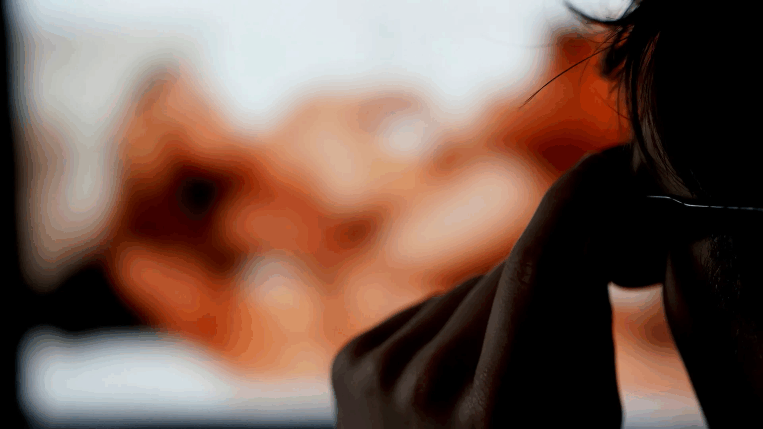 Невідомі показали порно на онлайн-засіданні міської ради в Німеччині