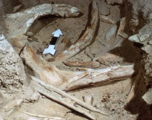 Космічний удар, що з’єднав два символи Аризони: метеорит, який утворив кратер, міг створити і давнє озеро у Гранд-Каньйоні