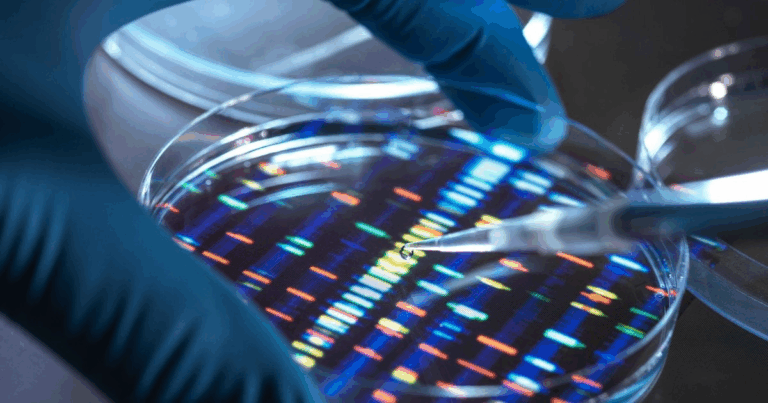 Японські вчені застосували CRISPR для видалення зайвої хромосоми при синдромі Дауна