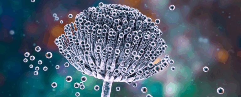 Грибок з «прокляття фараонів» може допомогти в боротьбі з раком