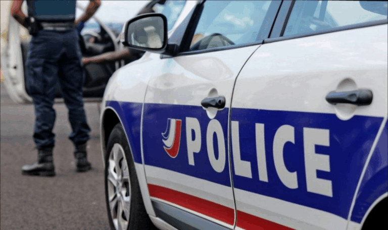 У Франції поліція другу добу шукає удава, що втік з тераріуму