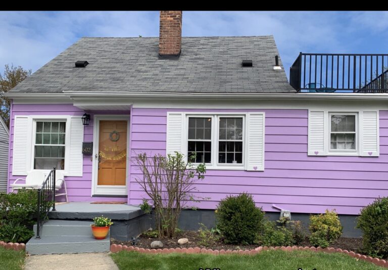 Пара з США пофарбувала свій будинок у яскравий фіолетовий колір і підняла настрій всім сусідам