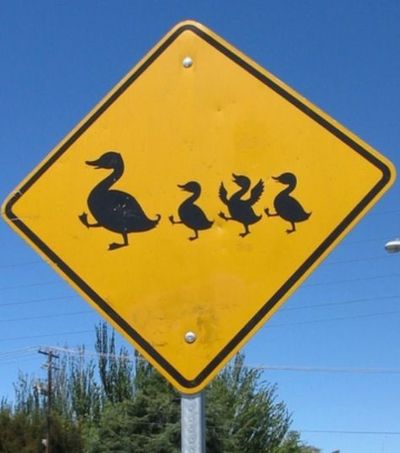 15 абсурдних і дивних дорожніх знаків, в існування яких важко повірити - фото 748238