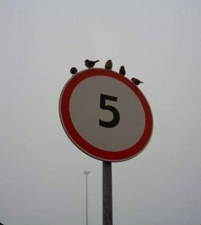 15 абсурдних і дивних дорожніх знаків, в існування яких важко повірити - фото 748239