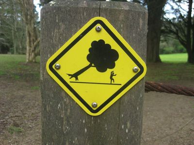 15 абсурдних і дивних дорожніх знаків, в існування яких важко повірити - фото 748243