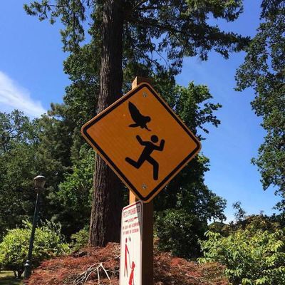 15 абсурдних і дивних дорожніх знаків, в існування яких важко повірити - фото 748245