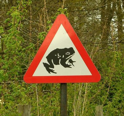 15 абсурдних і дивних дорожніх знаків, в існування яких важко повірити - фото 748248