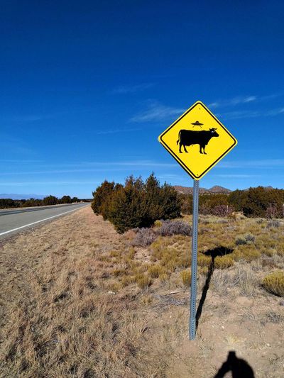 15 абсурдних і дивних дорожніх знаків, в існування яких важко повірити - фото 748249