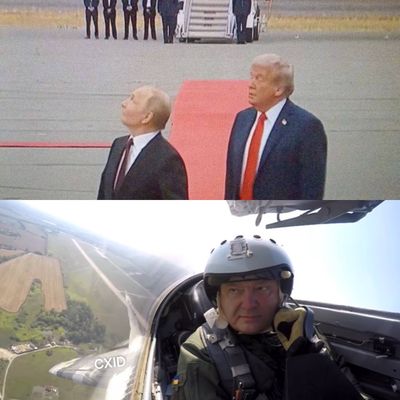 Меми дня: українці глузують з перемовин Путіна та Трампа на Алясці - фото 754170