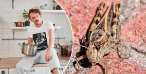 Випускайте Клопотенка: кияни кепкують із сарани-ненажери, що з'явилася у місті