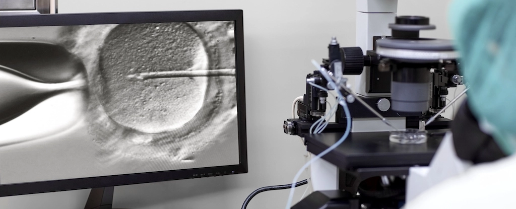 В США народилася дитина з ембріона, замороженого понад 30 років: новий світовий рекорд В США народилася дитина з ембріона, замороженого понад 30 років: новий світовий рекорд