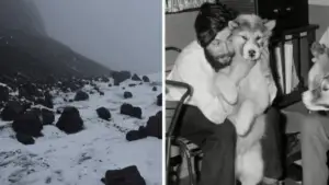 В Антарктиді знайшли рештки метеоролога Дениса Белла через 66 років після трагедії