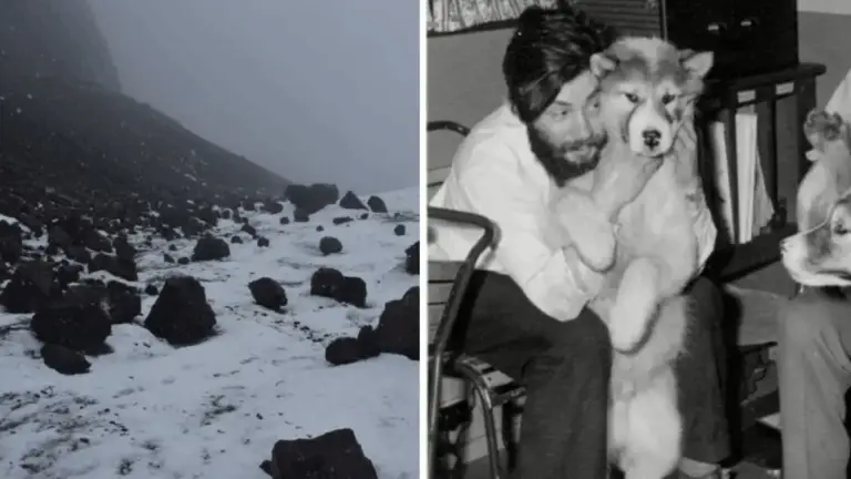 В Антарктиді знайшли рештки метеоролога Дениса Белла через 66 років після трагедії