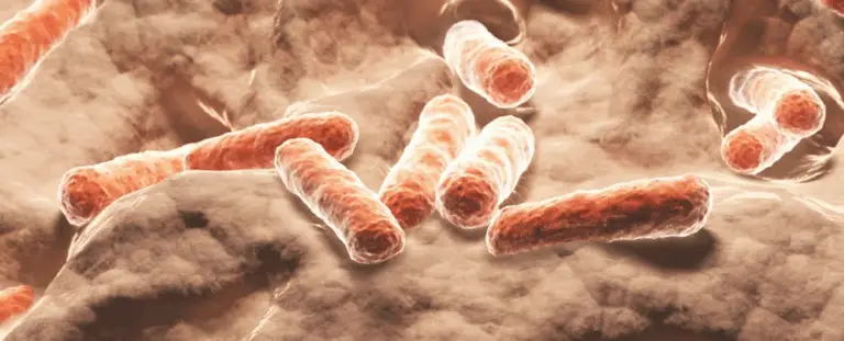 Вчені знайшли природний спосіб регулювати рівень цукру та потяг до солодкого — альтернатива Ozempic може ховатися у кишківнику