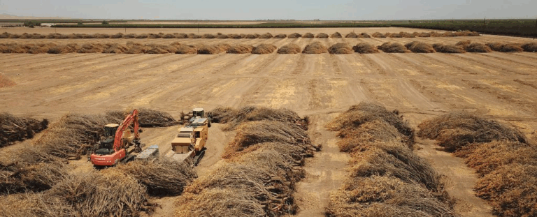 Світові континенти висихають: зникаюча прісна вода прискорює підйом рівня океанів