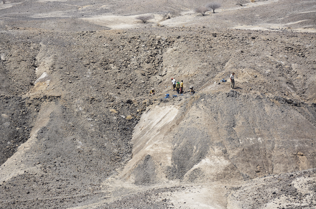 У Ефіопії знайшли зуби невідомого виду австралопітека: нова сторінка в історії еволюції людини