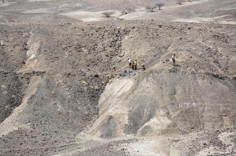 У Ефіопії знайшли зуби невідомого виду австралопітека: нова сторінка в історії еволюції людини