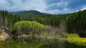 Карпатське озеро-привид: чому Негрове не знайти на карті