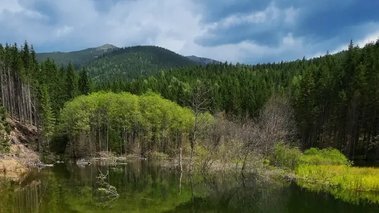 Карпатське озеро-привид: чому Негрове не знайти на карті