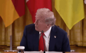 Конфуз у Білому домі: Трамп не зміг знайти президента Фінляндії, який сидів прямо перед ним