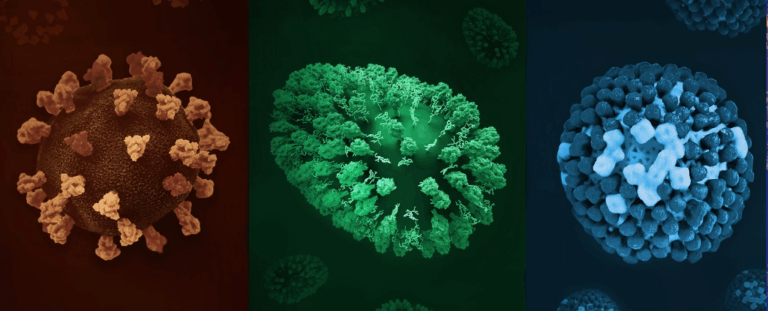 Вчені пояснили, які хвороби найзаразніші: що таке R₀, як поширюються інфекції та чому кір — лідер