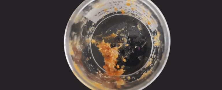 Таємницю «помаранчевої речовини» біля Помпеїв розкрито: вчені довели, що це стародавній мед