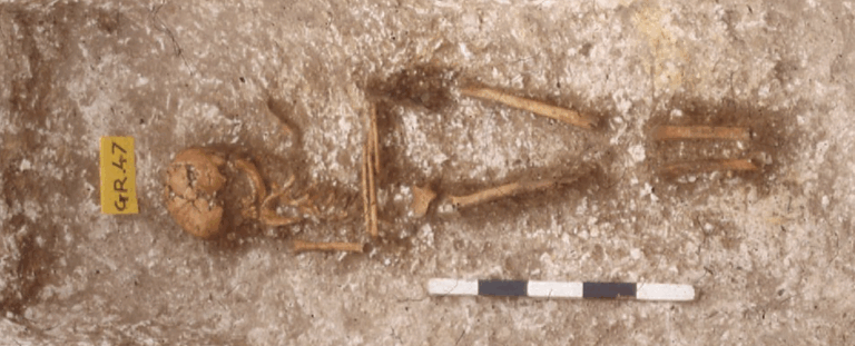 Нова ДНК-знахідка руйнує міфи про «закриту» Європу раннього Середньовіччя