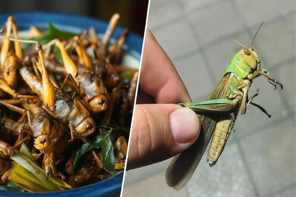 Із часником по-українські: у ресторанах Дніпра почали готувати страви з сарани