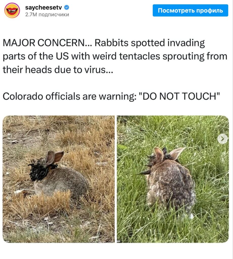«Кролі з рогами» налякали мережу в США