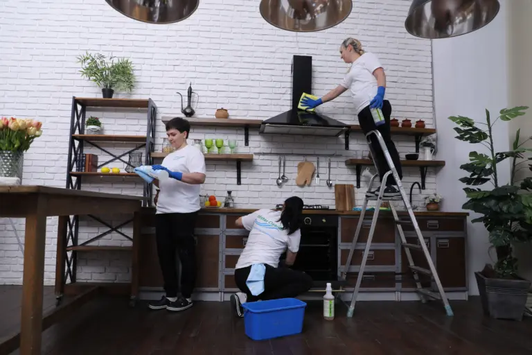 Фанатам чистоты: генеральная уборка из аптеки