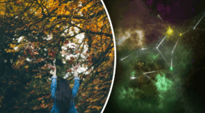 Фінансовий гороскоп на 5 вересня 2025 року: що чекає на ваш гаманець і прибутки