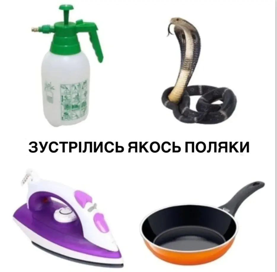 Зате не українська фура: пригоди російського "шахеда" у Польщі стали приводом для жартів