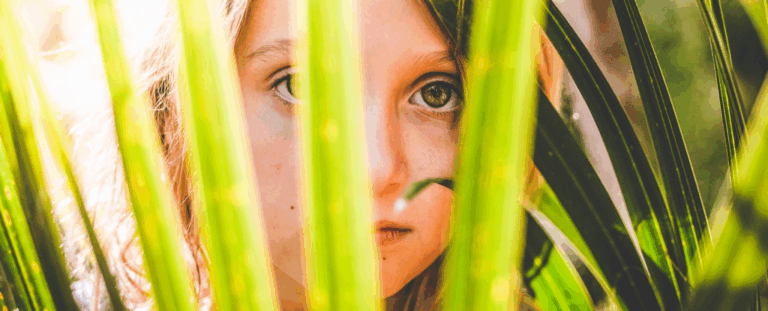 Ми розучилися казати «луки» й «ріки»: зв’язок із природою впав на 60%