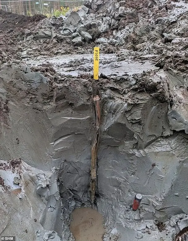 У Швеції знайшли 5000-річну «капсулу часу» в болоті