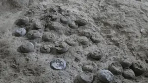 Вперше точно датували яйця динозаврів лазерним методом
