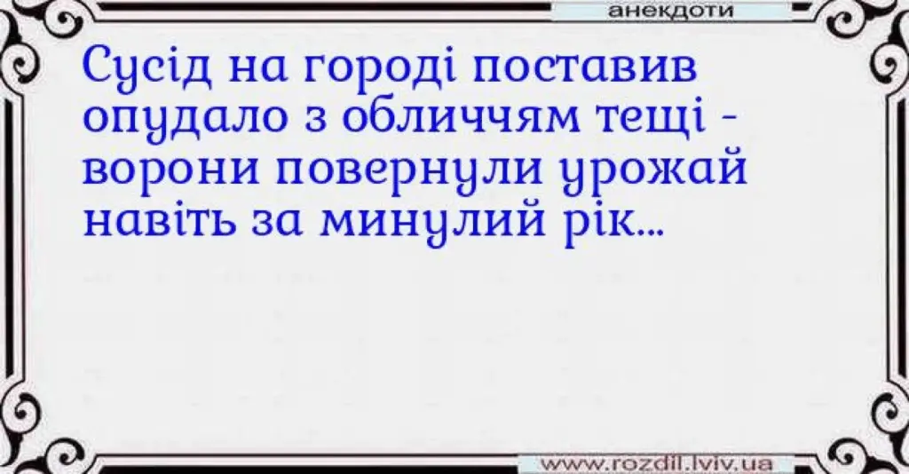 "Який рік, такий і врожай": найкращі меми та жарти про те, як дачники борються за кожен помідор